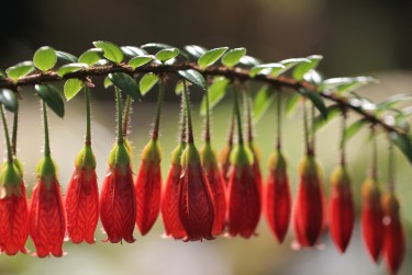 肇庆德庆6私人快速借钱网，轻松解决资金难题