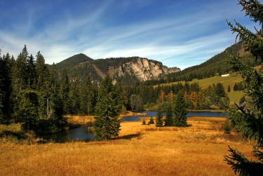 肇庆德庆6民间私贷攻略：揭秘低成本借贷的秘密