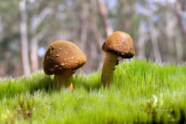 肇庆德庆6私人老板放款：轻松融资的秘密通道